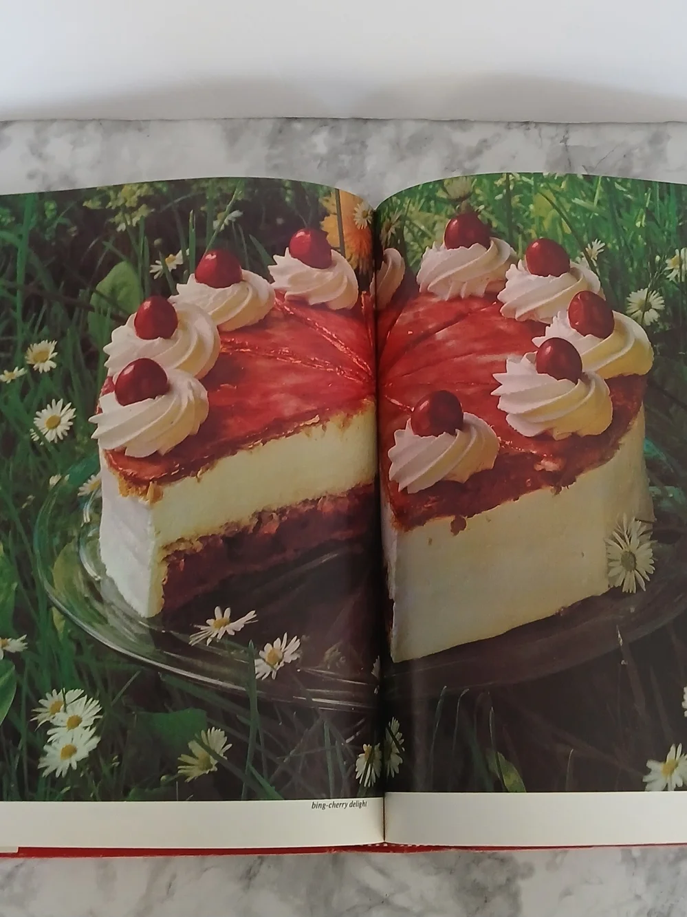 The Encyclopedia of Creative Cooking Hardcover Cookbook 2000 Recipes & 800 Photo - Picture 2 of 9